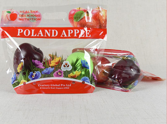 Aangepaste BOPP-PE van de Anti Plastic Verpakkende de Zakzak ISO9001 Mistritssluiting voor Vruchten
